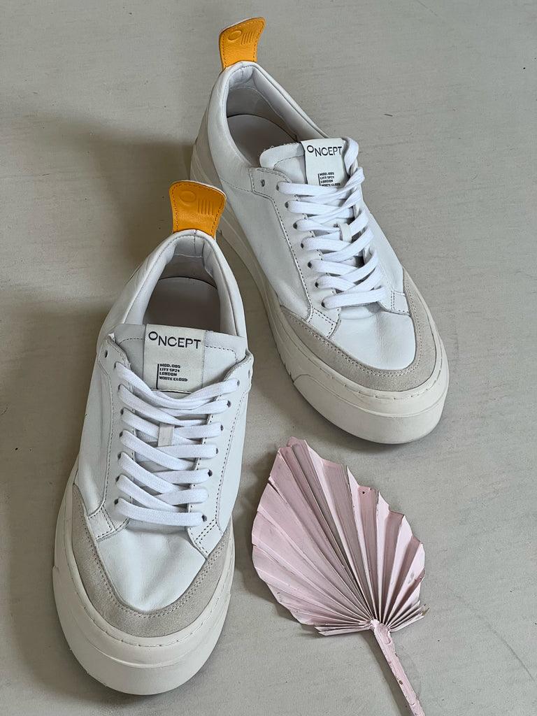 Concept Sneakers Overview