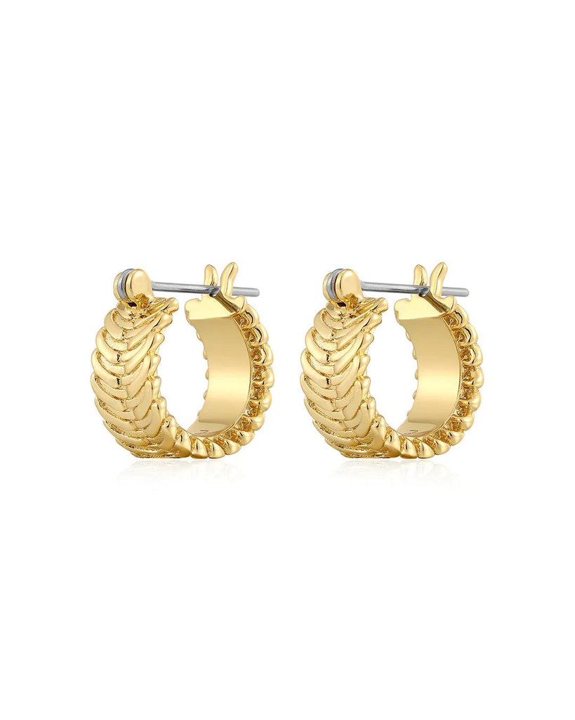 The Domenico Chain Hoops- Gold - Flutter